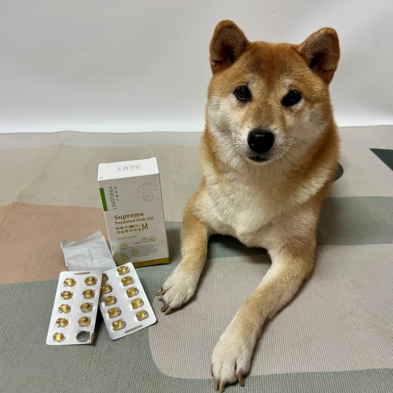 試用